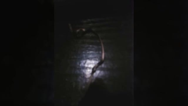 Проблемы с iJust S!! смотреть онлайн