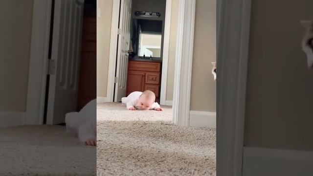 Знакомство малыша и котейка смотреть онлайн