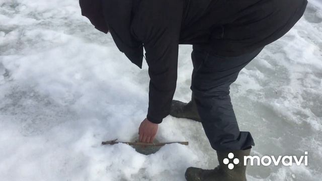 Рыбалка на озере Давыдовское смотреть онлайн