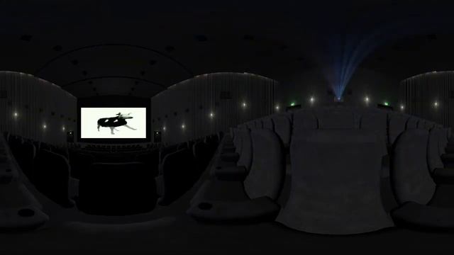 Корова танцует под польскую музыку в 360! смотреть онлайн