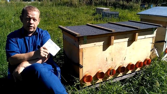 От колод к рамочным ульям, почему? И владимирский улей как современная альтернатива колоде? смотреть онлайн