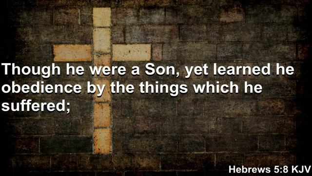 "The Fellowship Of His Sufferings"- Rehoboth New Life Center- Asst Pastor: Chris Brownie смотреть онлайн