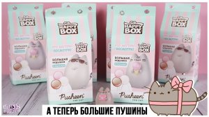 Pusheen cat в Happy Box | Большие котики Пушин от Сладкой Сказки