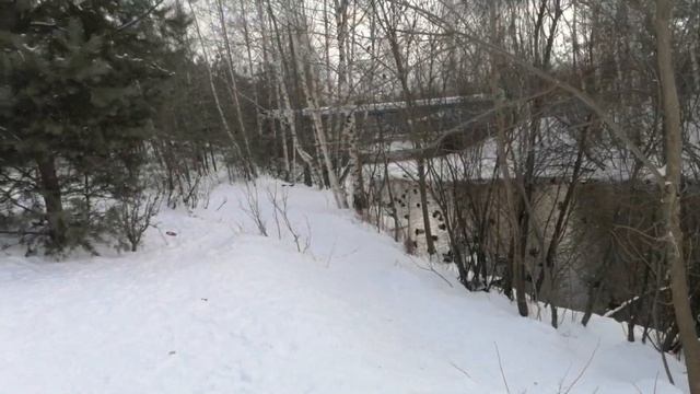 Город Нижний Новгород, Сормовский парк утки смотреть онлайн