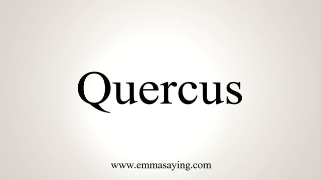 How To Say Quercus смотреть онлайн