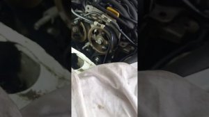 К4М. Устранение течи масла через сальники распредвалов раз и навсегда.