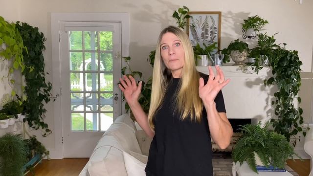 Can you Spot the Fake Houseplants? My Thoughts on Artificial Indoor Plants смотреть онлайн