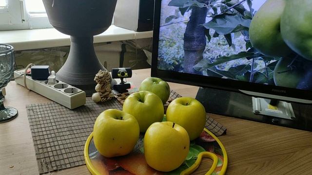 Сорт яблук "Мутсу"(Mutsu).Ще один чудовий японський сорт. смотреть онлайн