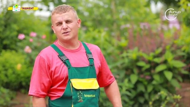 «Ландшафт.уз» | Мой сад [04.06.2022] смотреть онлайн
