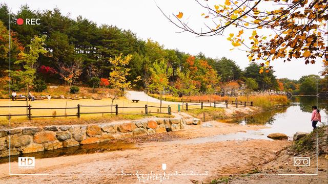 알함브라궁전의추억, Recuerdos de la Alhambra, 클래식기타,설악자생식물원, Eduardo Fernandez, Classical guitar masterpiece смотреть онлайн