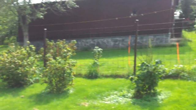 Степанцево смотреть онлайн