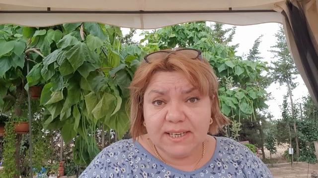 86.Самвел Адамян манипулятор, врёт смотря нам в глаза.где его совесть? дураков ищет ? @SaveliyAd смотреть онлайн