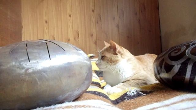 KosmoSky tank drum, настройка Silent 22 см смотреть онлайн