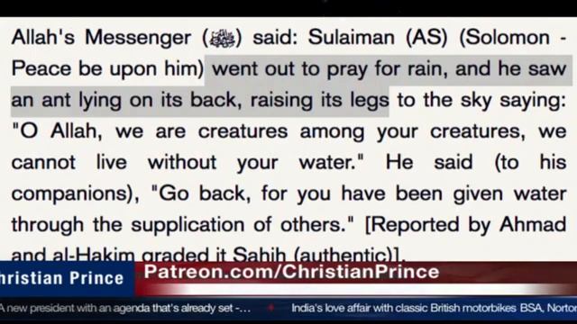 Allah and the Muslim Ants | Amazing stories | Christian Prince смотреть онлайн