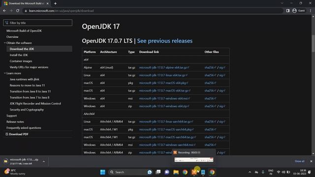 Java 17 Installation | Windows | June'23 смотреть онлайн