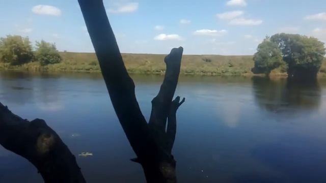Главное отдых а улов не важен.С папай на реке Днепр смотреть онлайн