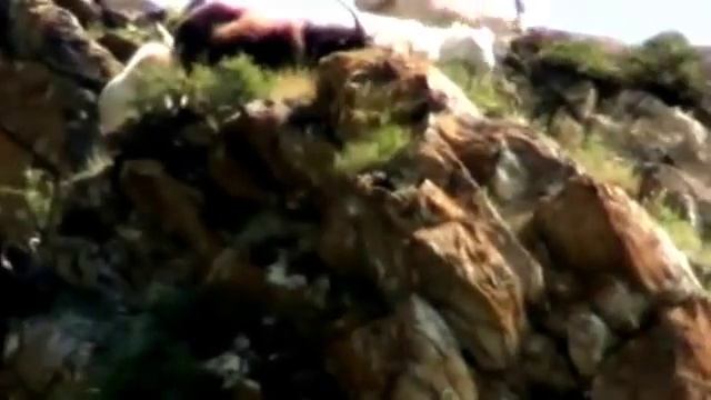 РАБОТНИК ЕМЕЛЬЯН И ПУСТОЙ БАРАБАН смотреть онлайн
