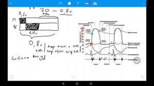 Физиология | Сердечный цикл