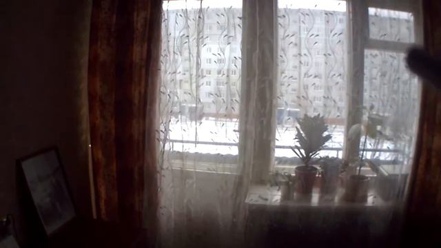 Вертолет HUBSAN FPV - видео полетов с камеры. Качество съемки. смотреть онлайн