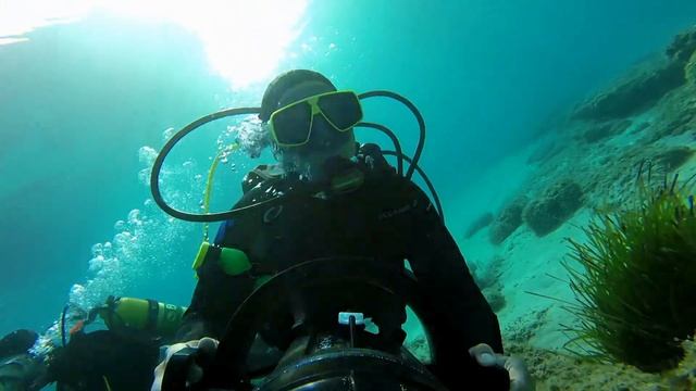 DPV DIVE WITH SEAWORLD смотреть онлайн