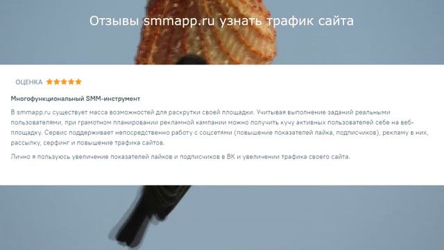 Отзывы smmapp.ru узнать трафик сайта смотреть онлайн