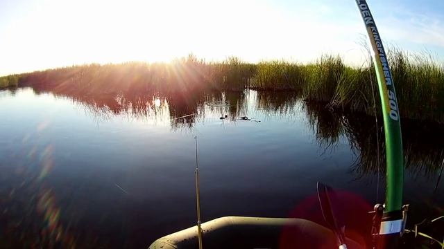 Вот это рыбалка КАРП,ЛИНЬ,КАРАСЬ все клюёт смотреть онлайн