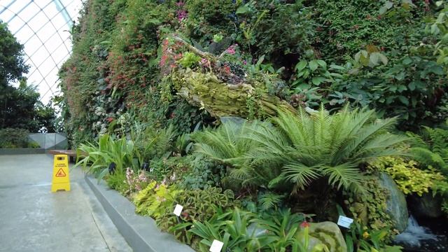 【4K】Singapore | Gardens by the bay | Cloud Forest | October 2021 смотреть онлайн