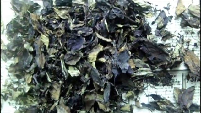 Приправа из базилика (в домашних условиях) смотреть онлайн