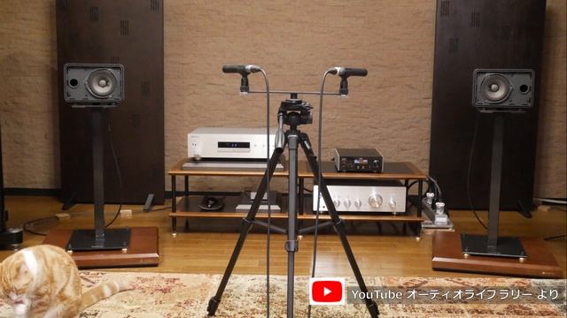 【BOSE 101MM】BOSEとJBLの定番スピーカーの聴き比べです。【JBL4312MⅡ】 смотреть онлайн
