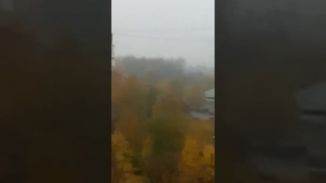 Кот написал добрый день уважаемые коллеги прошу согласовать смотреть онлайн