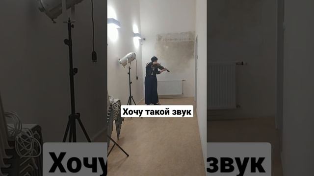 чешская скрипачка #скрипка #violin #housle