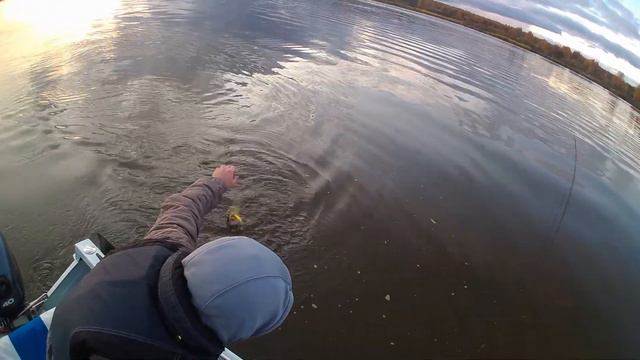 2019 10 05 Костромское море смотреть онлайн