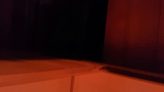 Цыплята сибрайт золото смотреть онлайн