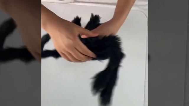 Огромный мягкий паук! Большой черный тарантул! 75 см! смотреть онлайн