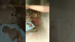 У БАСИКА БОЛИТ ЖИВОТ!!!!!!!!!!