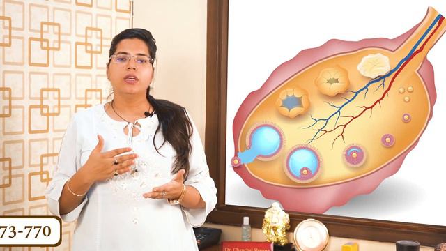 Eggs Size for Pregnancy | जल्दी Pregnancy ke liye Egg ka Size kitna hona Chahiye in Hindi смотреть онлайн