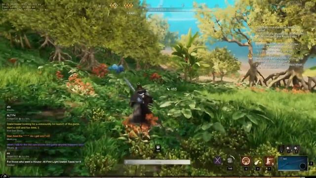 Итоги бета-тестирования New World MMORPG смотреть онлайн