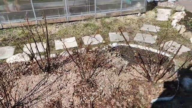 18.04.21.ДАЧА..получаем грядки для теплицы.на складе производителя "Тепличный выбор" смотреть онлайн