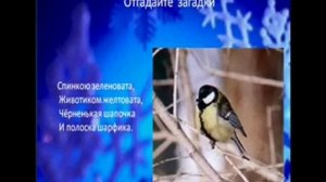 Видеоурок Покормите птиц зимой    x264
