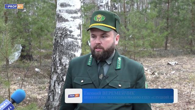 Природный напиток. Лесхозы начали продавать березовый сок смотреть онлайн