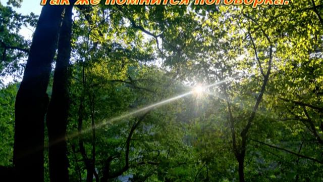 06-Зелёный цвет смотреть онлайн