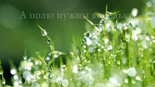 Капелька воды смотреть онлайн