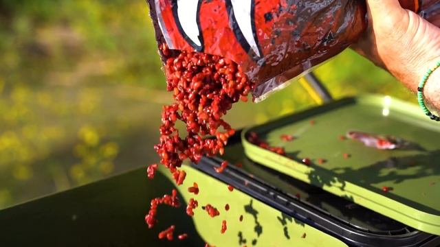 Лови карпа вместе с нами! / 20 TOURNAMENT BASIA 45 SCW QD смотреть онлайн