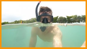 Ура! 100 подписчиков и я купил новую камеру! Поездка на остров ЧЕРЕПАХ и маленькие неприятности