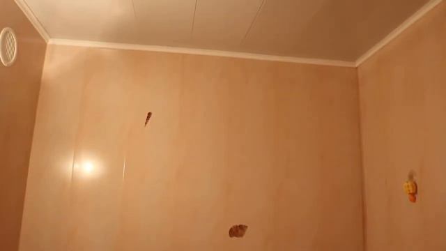 Продажа 1 комнатной квартиры в Лобне на ул. Некрасова 9 частный риэлтор Татьяна Мамонтова смотреть онлайн