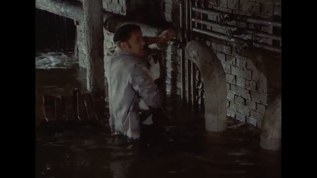 Хошь пей, хошь стирай смотреть онлайн