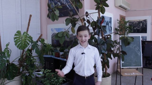 «Весна» Ф  И  Тютчева смотреть онлайн