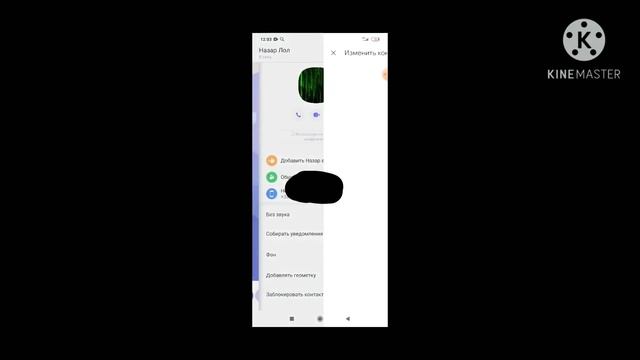 КАК ПЕРЕИМЕНОВАТЬ КОНТАКТ В Viber ? смотреть онлайн