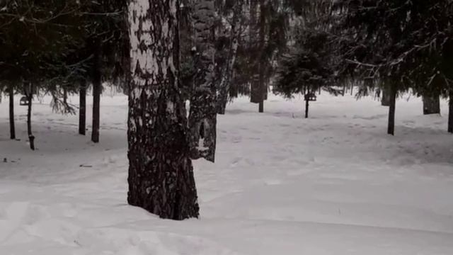 Законы Вселенной. смотреть онлайн