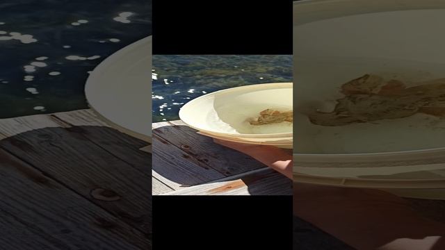 VID_20240815_141628.mp4 смотреть онлайн